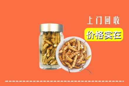 收购资讯:邯郸市成安回收散虫草