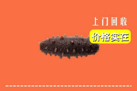 收购资讯:邯郸市成安回收海参